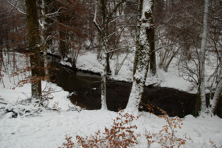 20100202_121825.jpg