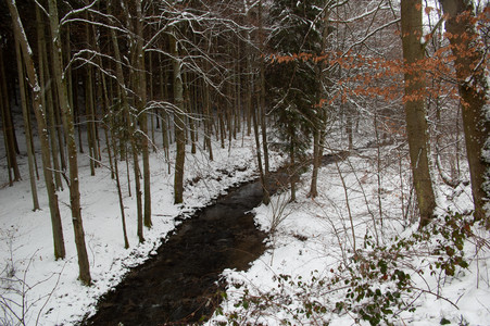 20100202_122303.jpg