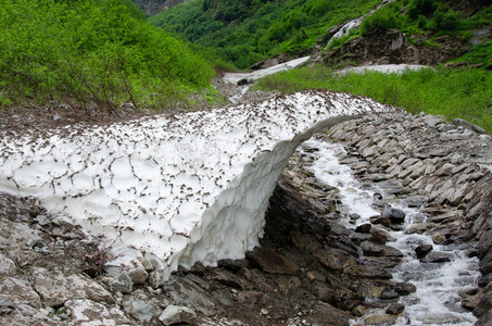 20110707_091550.jpg
