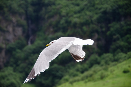 20110707_094322.jpg
