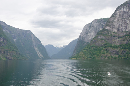 20110707_103212.jpg