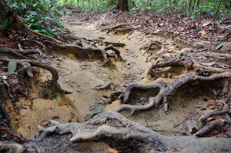20111212_075145.jpg