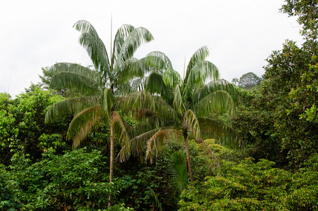 20111212_082041.jpg