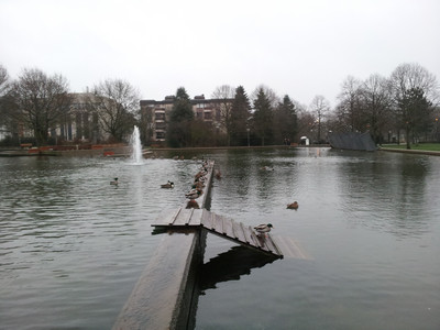 20120101_152618.jpg
