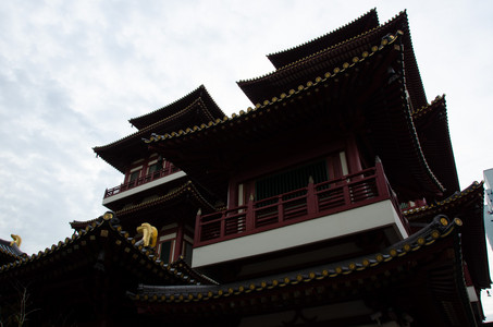 20120303_100735.jpg