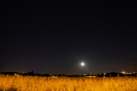 20120707_220353.jpg