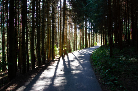 20120909_132610.jpg