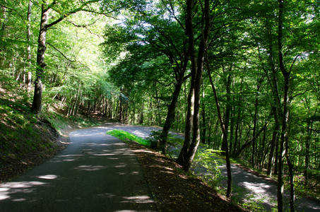 20120909_141130.jpg
