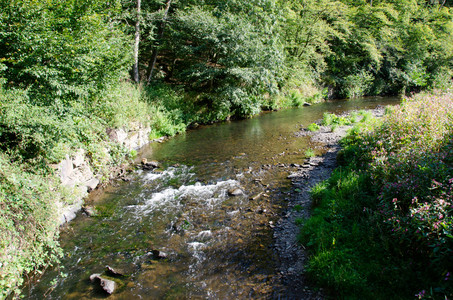 20120909_141727.jpg