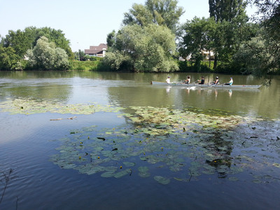 20130707_091140.jpg