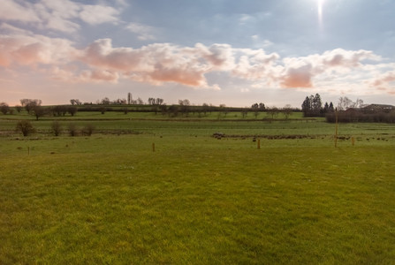 20150404_214739.jpg