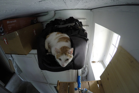 20150514_130453.jpg