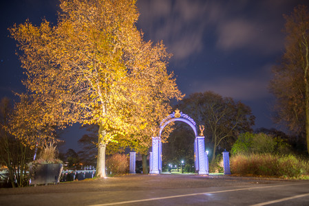 20151111_202054.jpg