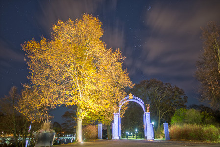 20151111_202247.jpg