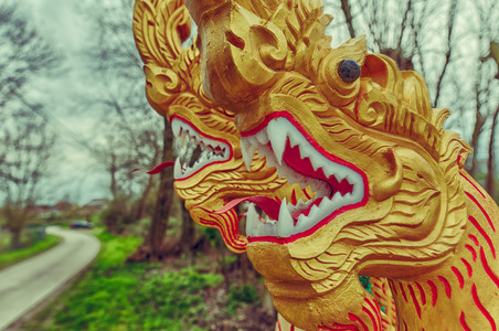 20160404_141826.jpg