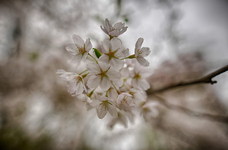 20160404_153042.jpg