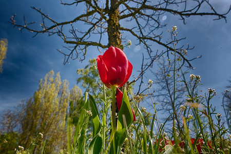 20160505_102933.jpg