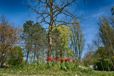 20160505_105159.jpg