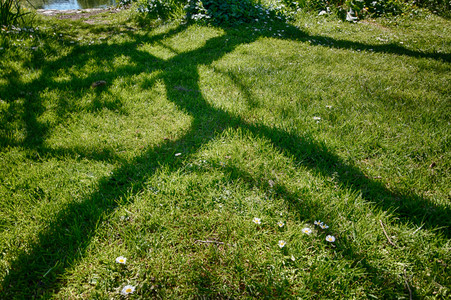 20160505_105258.jpg