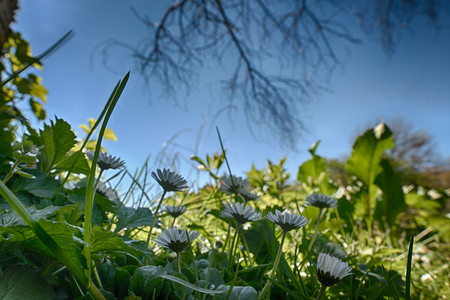 20160505_105750.jpg