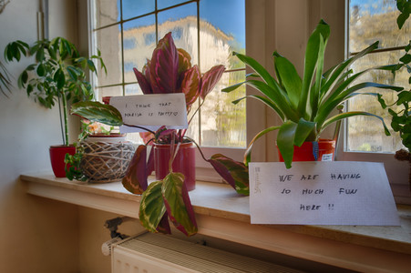 20160505_122638.jpg