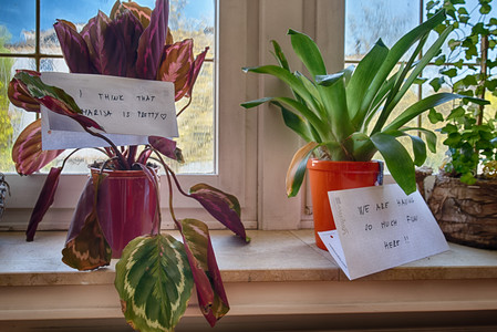 20160505_122742.jpg