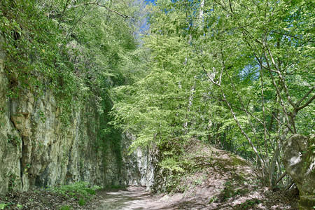 20160505_143613.jpg