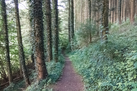 20160715_190135.jpg