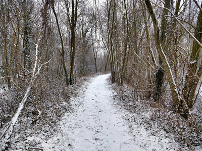 20180303_114315.jpg
