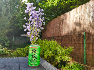 20180505_175947.jpg