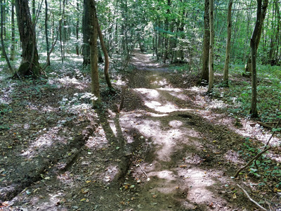 20180909_152037.jpg