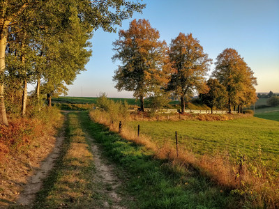 20181010_181801.jpg