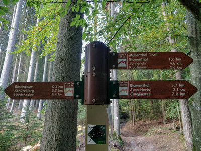 20181010_183111.jpg