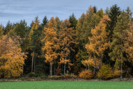 20181111_133207.jpg