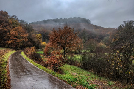 20181111_154617.jpg