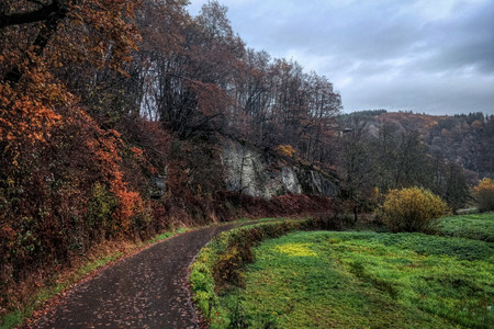 20181111_154908.jpg