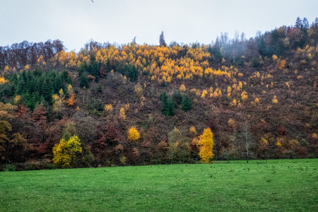 20181111_162552.jpg