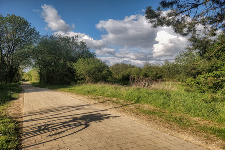 20190505_191547.jpg