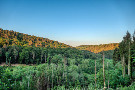 20190606_210556.jpg