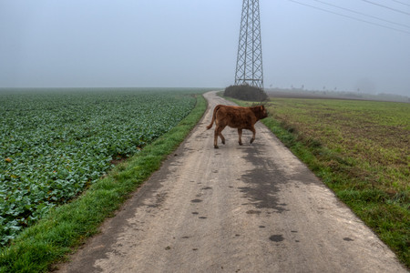20191111_084914.jpg