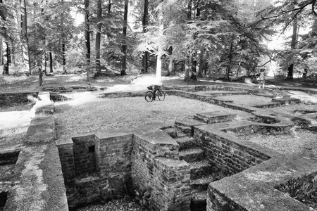 20200707_200137.jpg