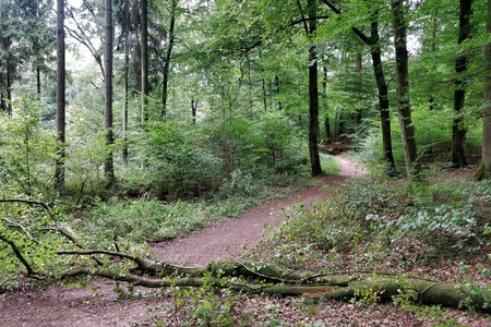 20200909_101303.jpg