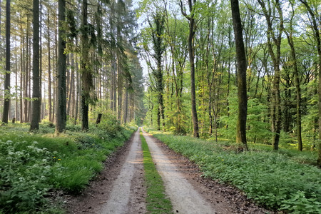 20220505_185124.jpg