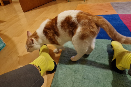 20220521_220823.jpg