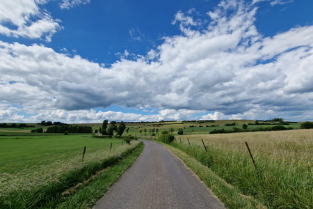 20220606_153129.jpg