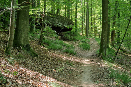 20220808_120753.jpg