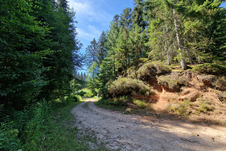 20220808_121626.jpg
