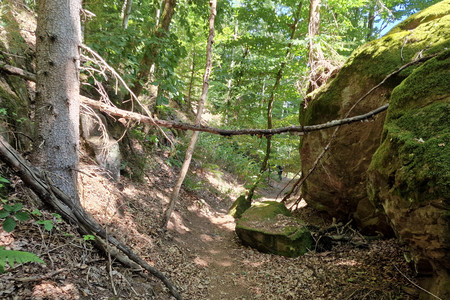 20220808_144723.jpg