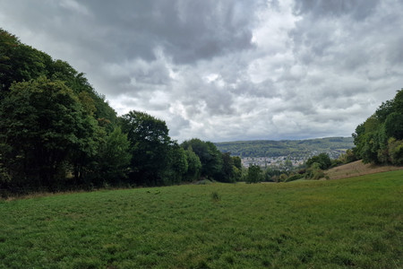 20220909_115301.jpg