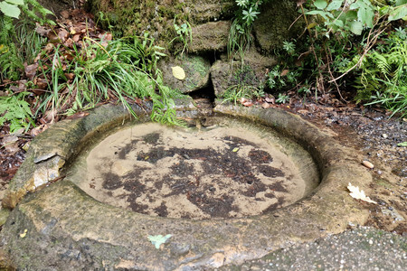 20220909_125431.jpg
